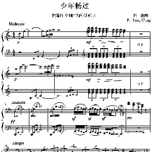 神雕侠侣交响乐 改编钢琴曲 少年杨过 钢琴谱