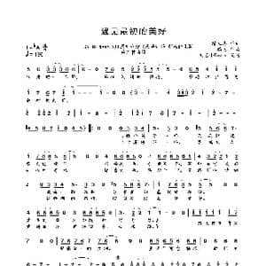 遇见最初的美好_歌曲简谱_词曲:陈立志 鸭毛