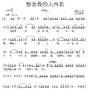 想念我的大西北_歌曲简谱_词曲:李庆文 张遇良