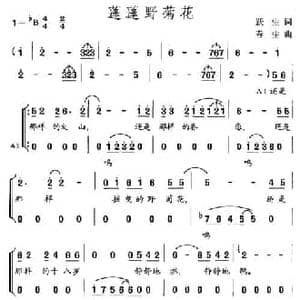 蓬蓬野菊花_民歌简谱_词曲:跃生 春生