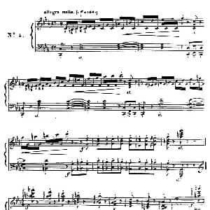 24 Exercices et Preludes Op.21 钢琴谱 亨利 赫尔茨