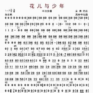 花儿与少年_歌曲简谱_词曲: 高金全编曲