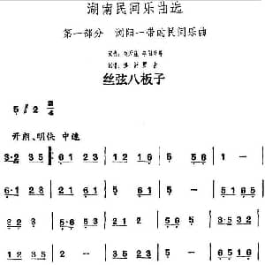 丝弦八板子 湖南民间乐曲选 洪滔 贾古记谱