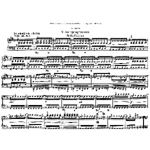 12首为孩子们而作的四手联弹曲 Op.85 钢琴谱 罗伯特 舒曼