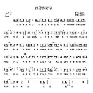 我像棵野草_通俗唱法乐谱_词曲:赵春伟 赵春伟