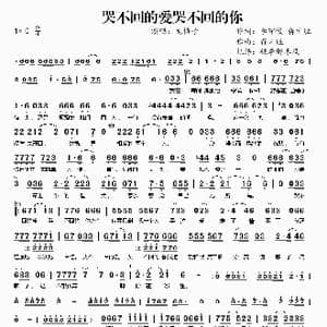 哭不回的爱 哭不回的你_歌曲简谱_词曲:李守俊 蒋才胜 蒋才胜