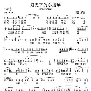 月光下的小提琴_美声唱法乐谱_词曲:石顺义 吴旋