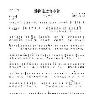 爱你流过多少泪_歌曲简谱_词曲:樊少华 樊少华