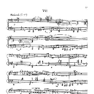 24 Preludes Op.53 钢琴谱 尼古拉 凯帕斯汀