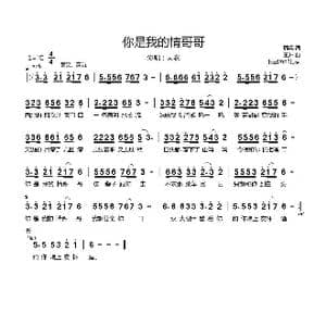 你是我的情哥哥_歌曲简谱_词曲:周兵 王东