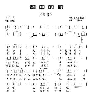 梦中的你_歌曲简谱_词曲:苏向国/汤建新 周开屏