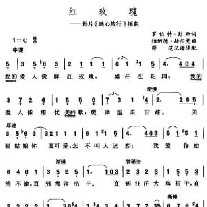 红玫瑰 美国 _外国歌谱
