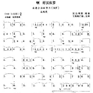 二胡谱 | 啊 好汉佐罗