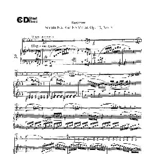 小提琴谱 | 降E大调第三小提琴奏鸣曲 Sonata No.3 in Eb Major Op.12,No.3 小提琴 钢琴伴奏 Beethoven ​贝多芬