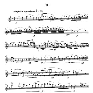 萨克斯谱 | 菲林萨克斯管练习曲 9 弗朗茨 威廉 费林原曲 李志远改编