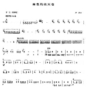 金色的北大仓 笙谱 唐富