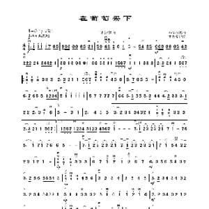 在葡萄架下_歌曲简谱