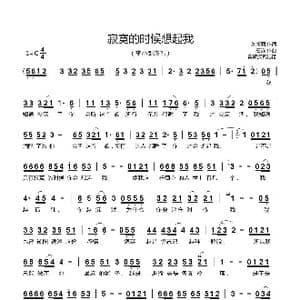 寂寞的时候想起我_歌曲简谱_词曲:刘新圈 石焱