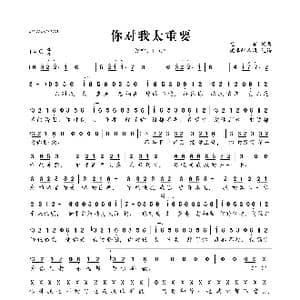 你对我太重要_歌曲简谱_词曲:龙军 龙军