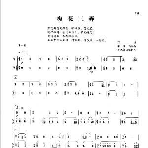 梅花三弄 笛 箫 古曲 张维良 吴晓红订筝指法