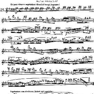 长笛曲谱 | 卡 伊勒特30首长笛练习曲Op.107 NO.25 NO.27 Karg Elert 卡 伊勒特