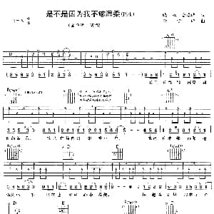是不是因为我不够温柔 吉他谱 金学峰 晓枫 金学峰 金学峰