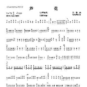 芦花_歌曲简谱_词曲: 高振忠配器