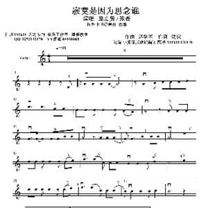 寂寞是因为思念谁_歌曲简谱_词曲:沈庆 逯学军