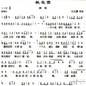 桃花雪_通俗唱法乐谱_词曲:杜文静 杜文静