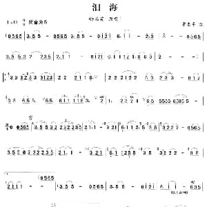 笛子谱 | 泪海 季忠平