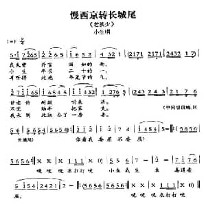敦煌曲子戏 慢西京转长城尾 老换少 小生唱段