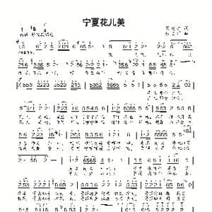 宁夏花儿美_歌曲简谱_词曲:刘德才 张志辉