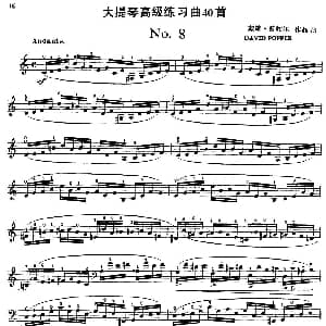 大提琴高级练习曲40首 No.8 戴维 波帕尔
