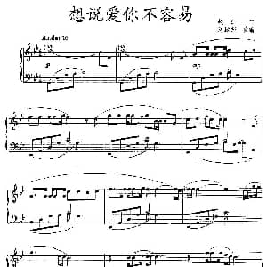 想说爱你不容易 钢琴谱 赵江