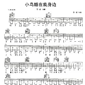 小鸟睡在我身边 吉他谱 李健 李健 李健