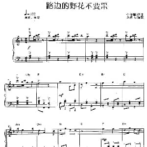 路边的野花不要采 钢琴谱 许乐飞