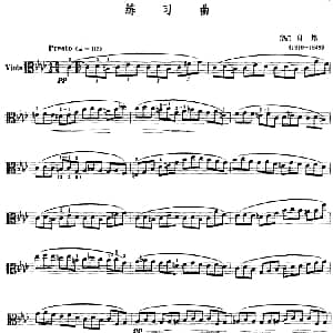 练习曲 中提琴 波 肖邦