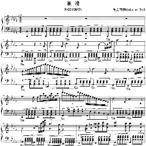 Passionata 钢琴谱 马克西姆Maksim