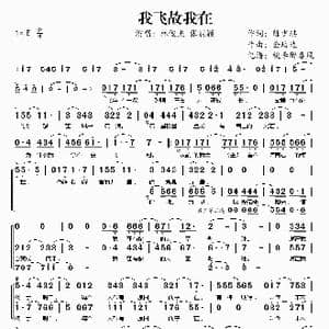 我飞故我在_歌谱投稿_词曲:陈少琪 金培达