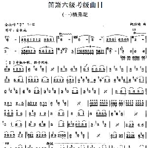 笛箫六级考级曲目 格桑花 胡结续