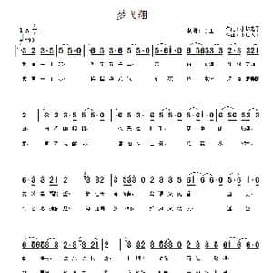 梦飞翔_歌曲简谱_词曲:小城老于 小城老于