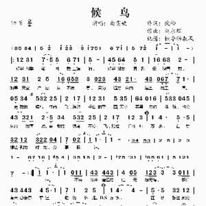 候鸟_歌谱投稿_词曲:沈松 刘永辉