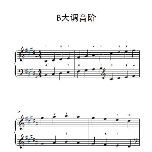 B大调音阶 钢琴谱