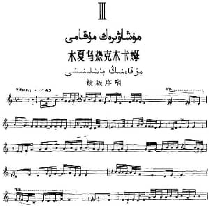 Ⅲ 木夏乌热克木卡姆 104 114 主旋律谱 十二木卡姆