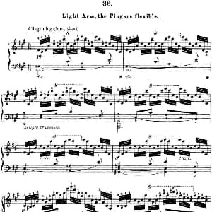 50首车尔尼Op.740钢琴手指灵巧技术练习曲 钢琴谱 车尔尼