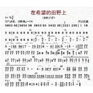 在希望的田野上_歌曲简谱_词曲: 李国林配器