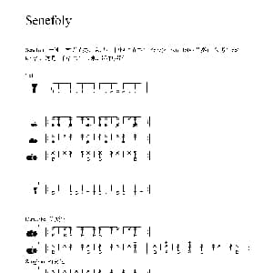 Senefoly 非洲手鼓谱