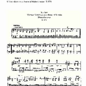 13 Variations on a theme of Hüttenbrenner D.576 钢琴谱