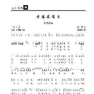 老婆是宝贝_歌曲简谱_词曲:孙祥 赵维钧