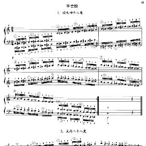 钢琴半音阶练习 钢琴谱 沈琪编著